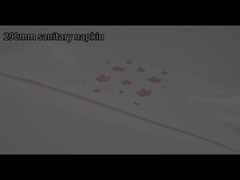 6+6+4 高品質 女性用パッド 女性用衛生用ナプキン 格安 ドイツ用衛生用ナプキン